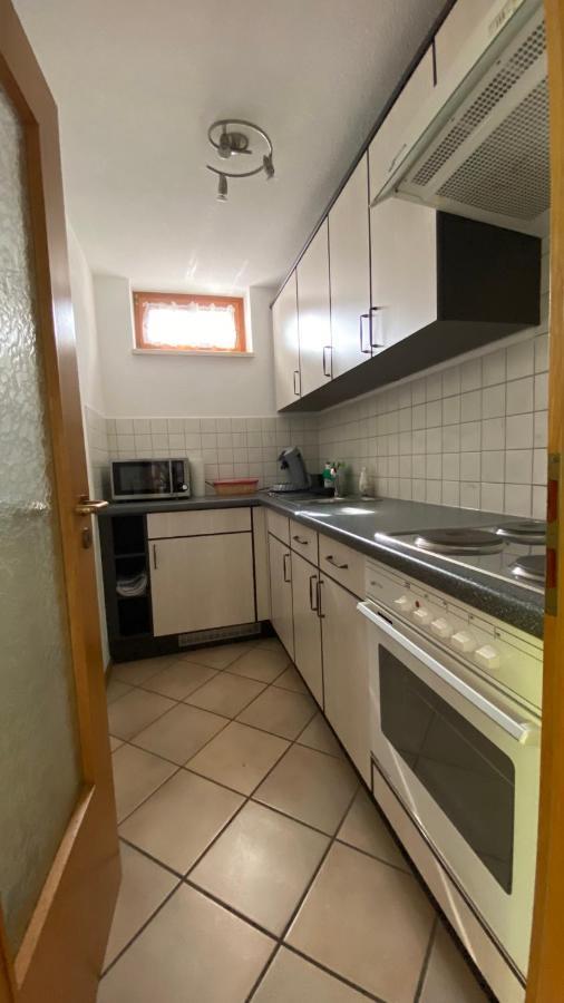 Apartment Baerenfelsblick Wehr エクステリア 写真